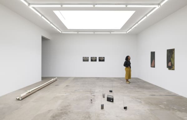 Installation view of Living in a lightbulb.