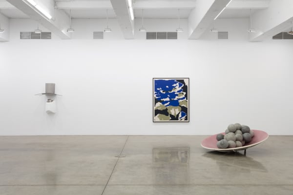 Installation view of Pine Barren.