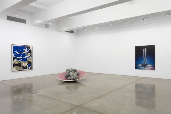 Installation view of Pine Barren.