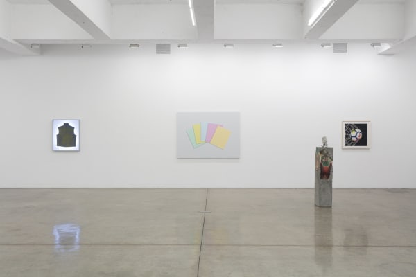 Installation view of Pine Barren.