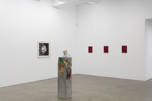 Installation view of Pine Barren.