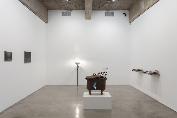 Installation view of Pine Barren.