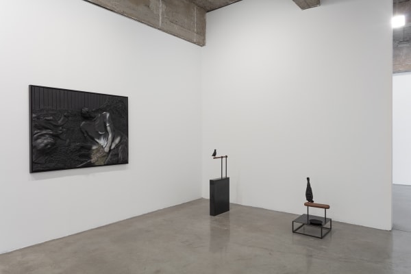 Installation view of Pine Barren.