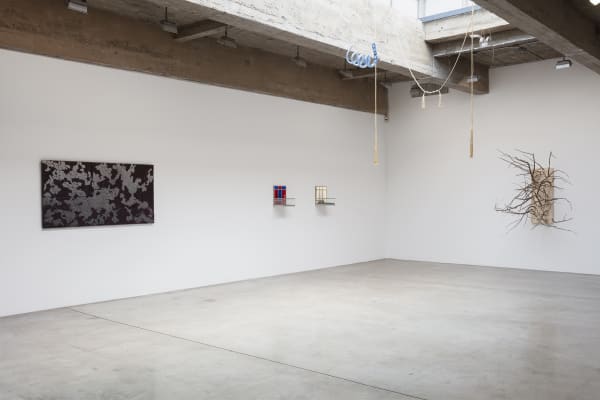 Installation view of Pine Barren.