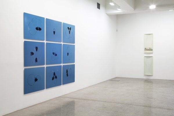 Installation view of The Bigger Picture.