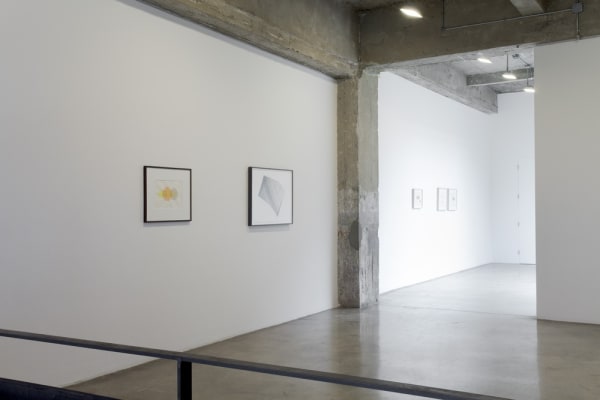 Installation view of AMBIENT.