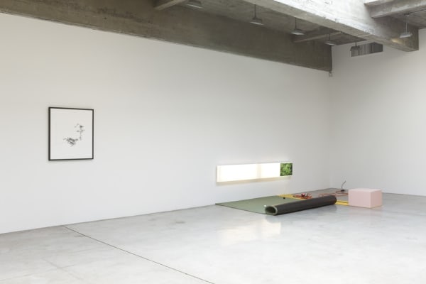 Installation view of AMBIENT.