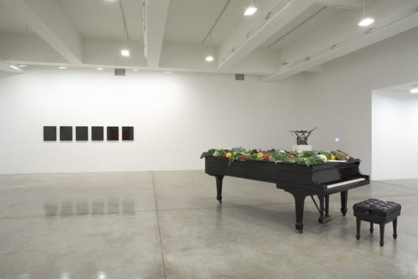 Installation view of AMBIENT.