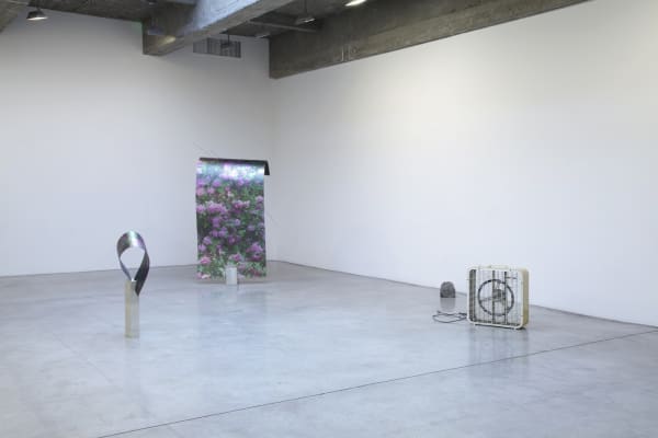 Installation view of Maybe it's the light that has to change and not much else.