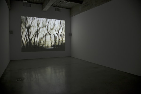 Installation view of Maybe it's the light that has to change and not much else.