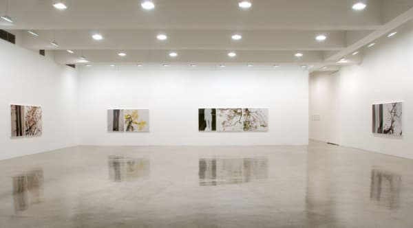 Uta Barth photography series, to walk without a destination at TBG NY