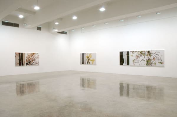 Uta Barth photography series, to walk without a destination at TBG NY