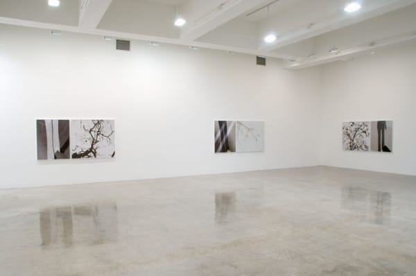 Uta Barth photography series, to walk without a destination at TBG NY