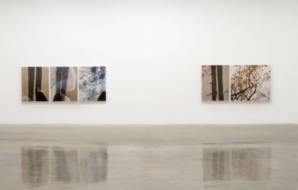 Uta Barth photography series, to walk without a destination at TBG NY