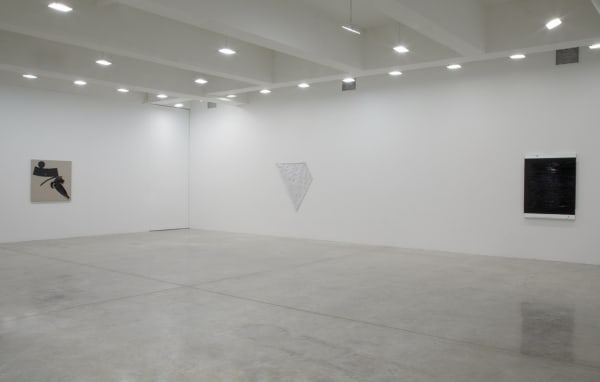 Installation view of Painting Expanded.