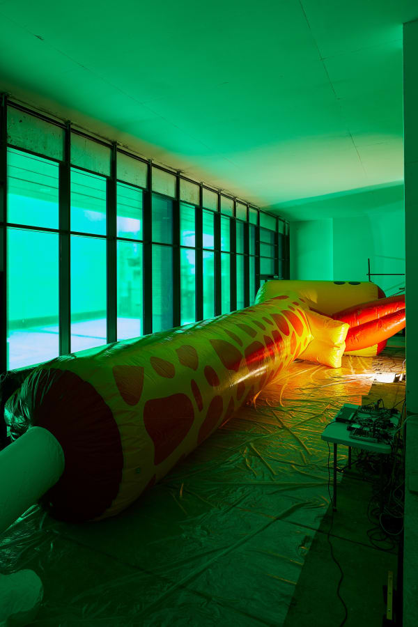 installation view of Wong Ping blow up giraffe