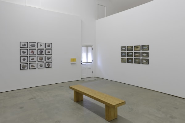 image of photos in a grid