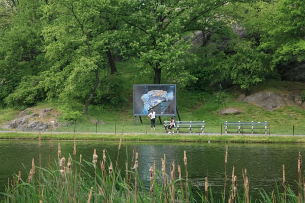 image of billboard in central park