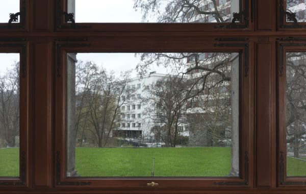 image of grass outside