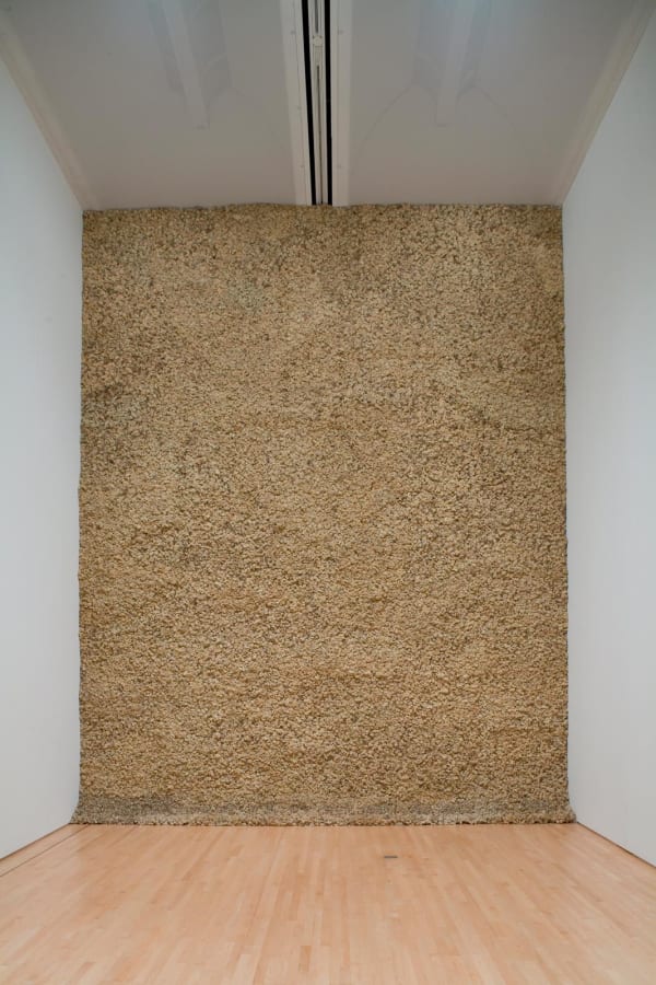 image of moss wall