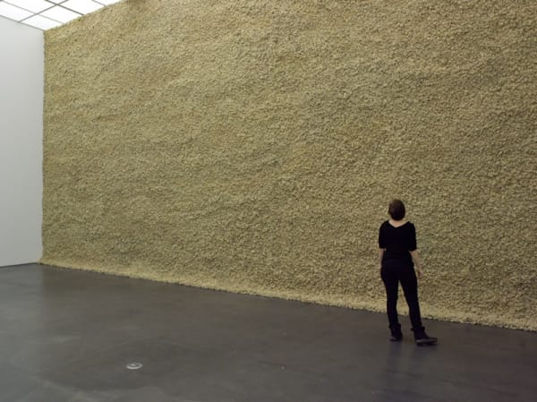 image of moss wall