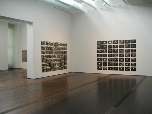 image of Eliasson photographs of Iceland in grid