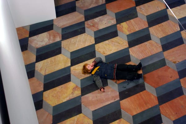 image of wood floor and mirrored ceiling