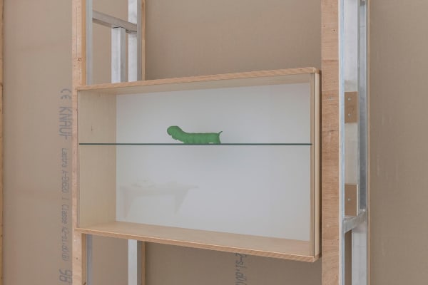image of Haim Steinbach installation view at Bolzano