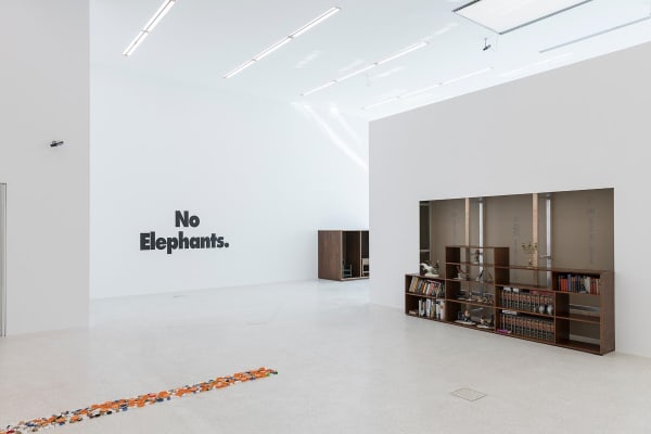 image of Haim Steinbach installation view at Bolzano