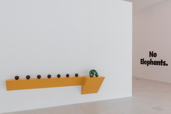 image of Haim Steinbach installation view at Bolzano