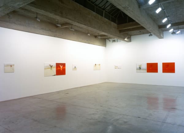 Uta barth installation view, red and white flower photos