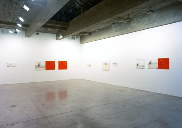 Uta barth installation view, red and white flower photos