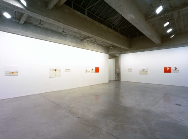 Uta barth installation view, red and white flower photos