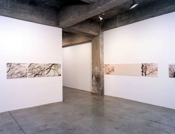 Uta Barth, white blind installation view