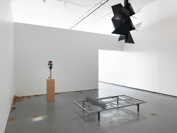 installation view of Martin Boyce at RISD