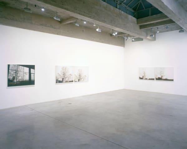 Uta Barth nowhere near install view