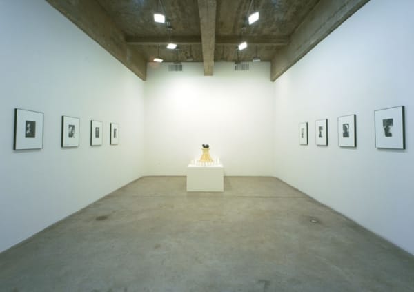 image of Preheim installation, photographs and sculpture
