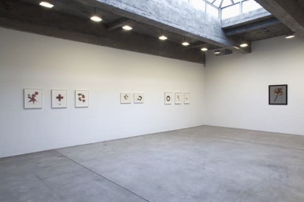 image of Peggy Preheim installation of drawings