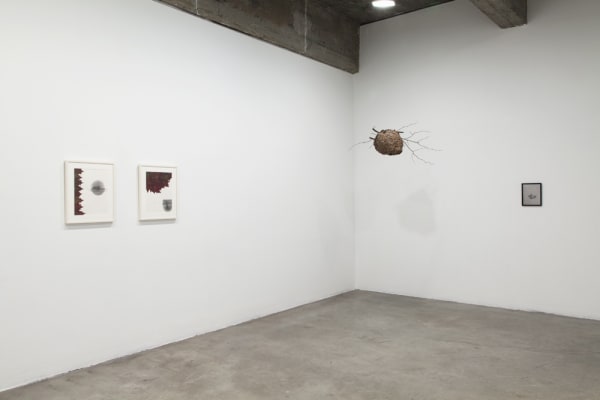 image of Peggy Preheim installation of drawings