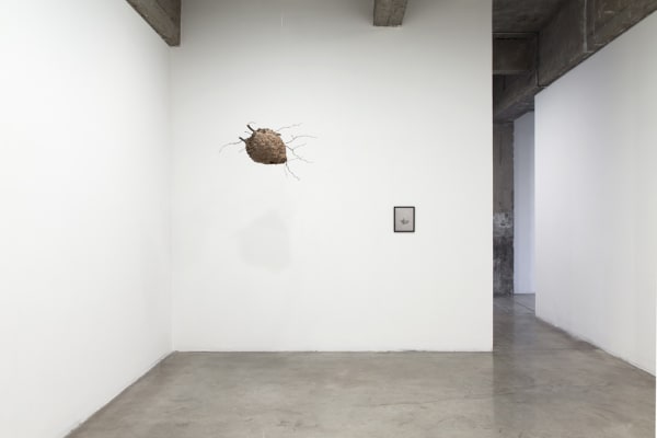 image of Peggy Preheim installation of drawings