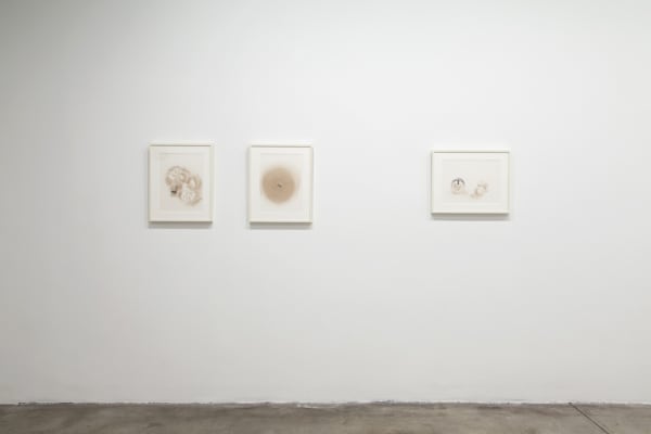 image of Peggy Preheim installation of drawings
