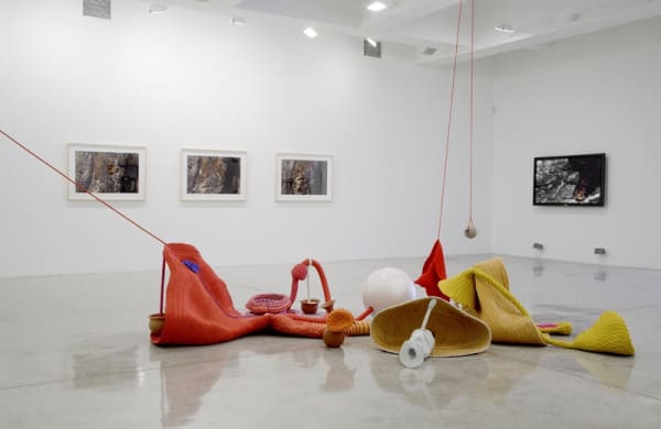 Installation view of A GENTIL CARIOCA.