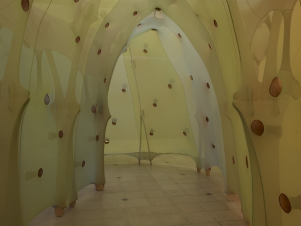 image of inside Ernesto Neto installation