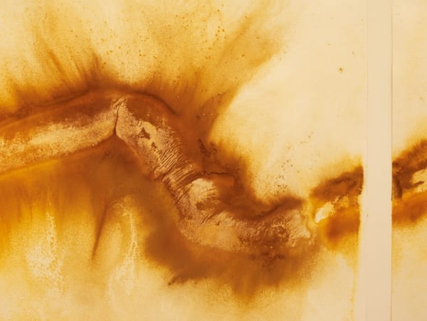 image of Ernesto Neto drawings