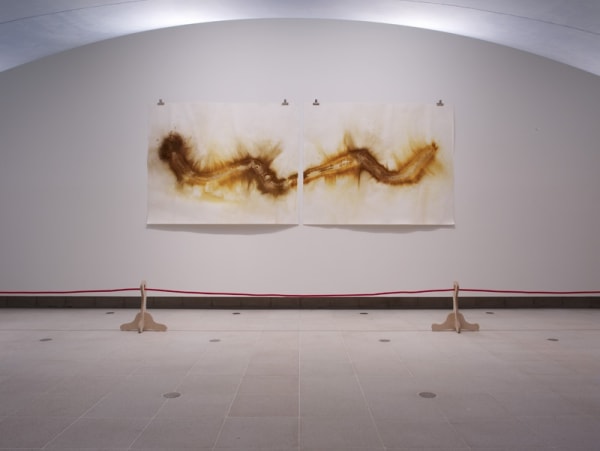 image of Ernesto Neto drawings