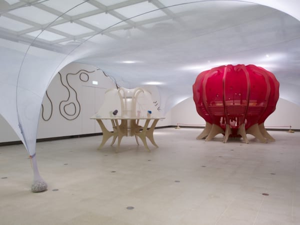 image of Ernesto Neto installation