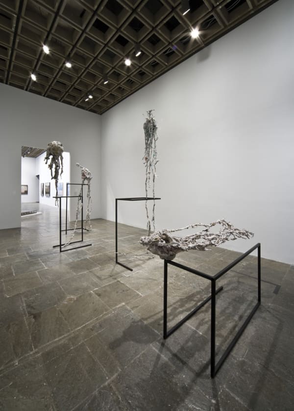 image of Long Knowbirds at Whitney Museum