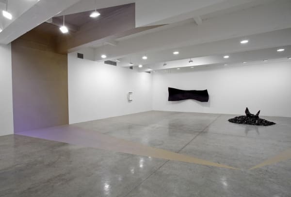 Liz Larner installation image.