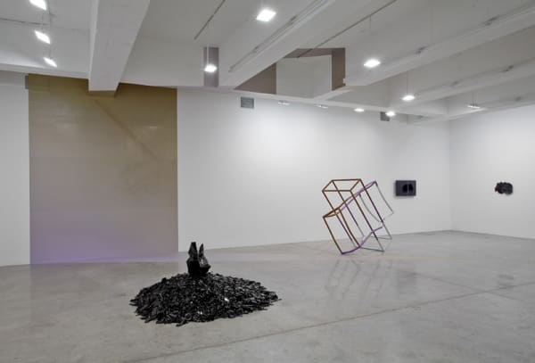 Liz Larner installation image.