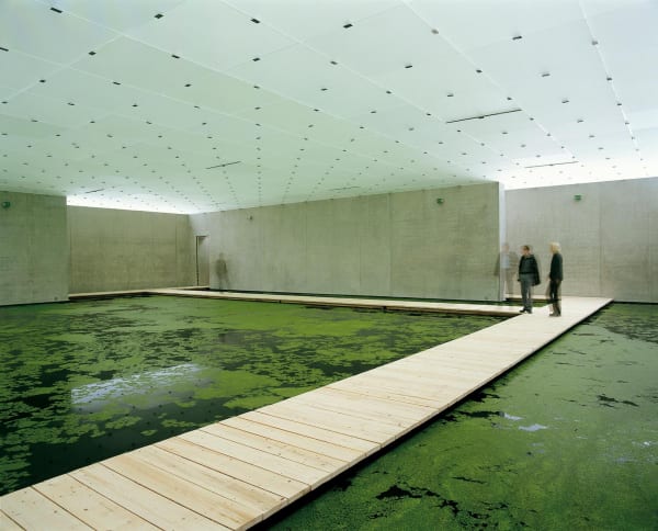 installation image of pond bridge inside museum